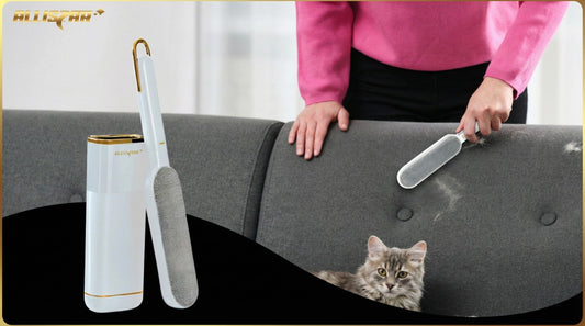 5 Ways to Remove Pet Hair From Your Couch